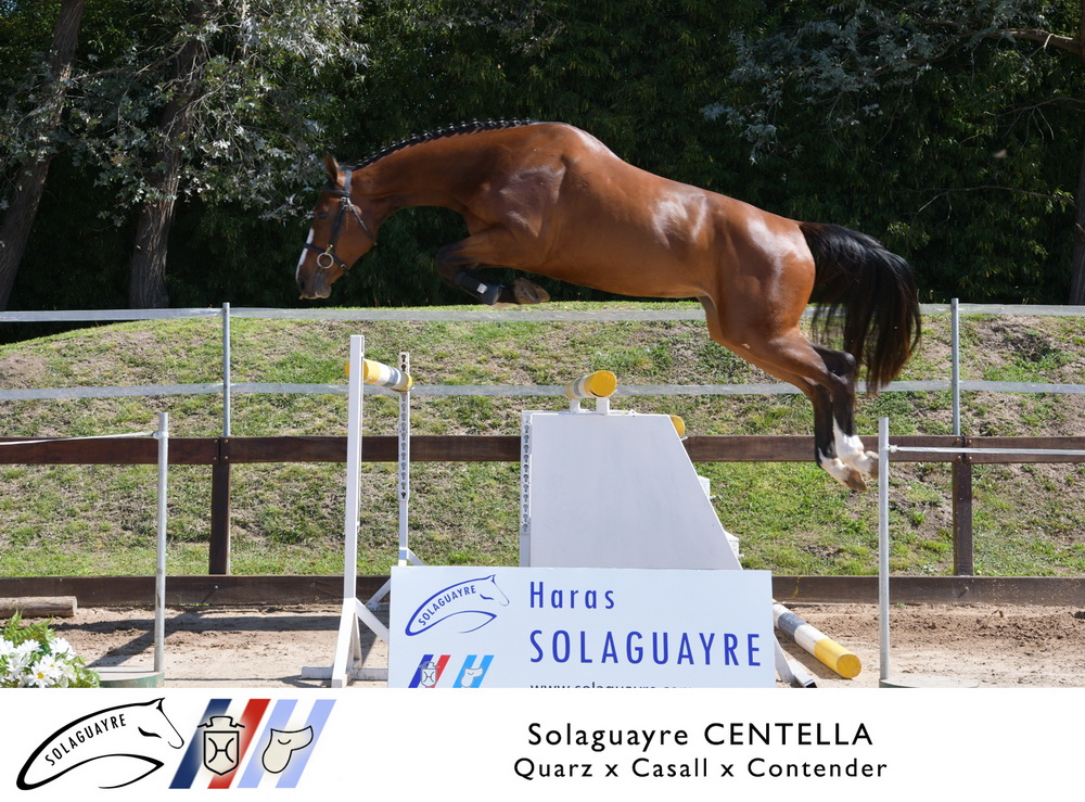 SOLAGUAYRE CENTELLA